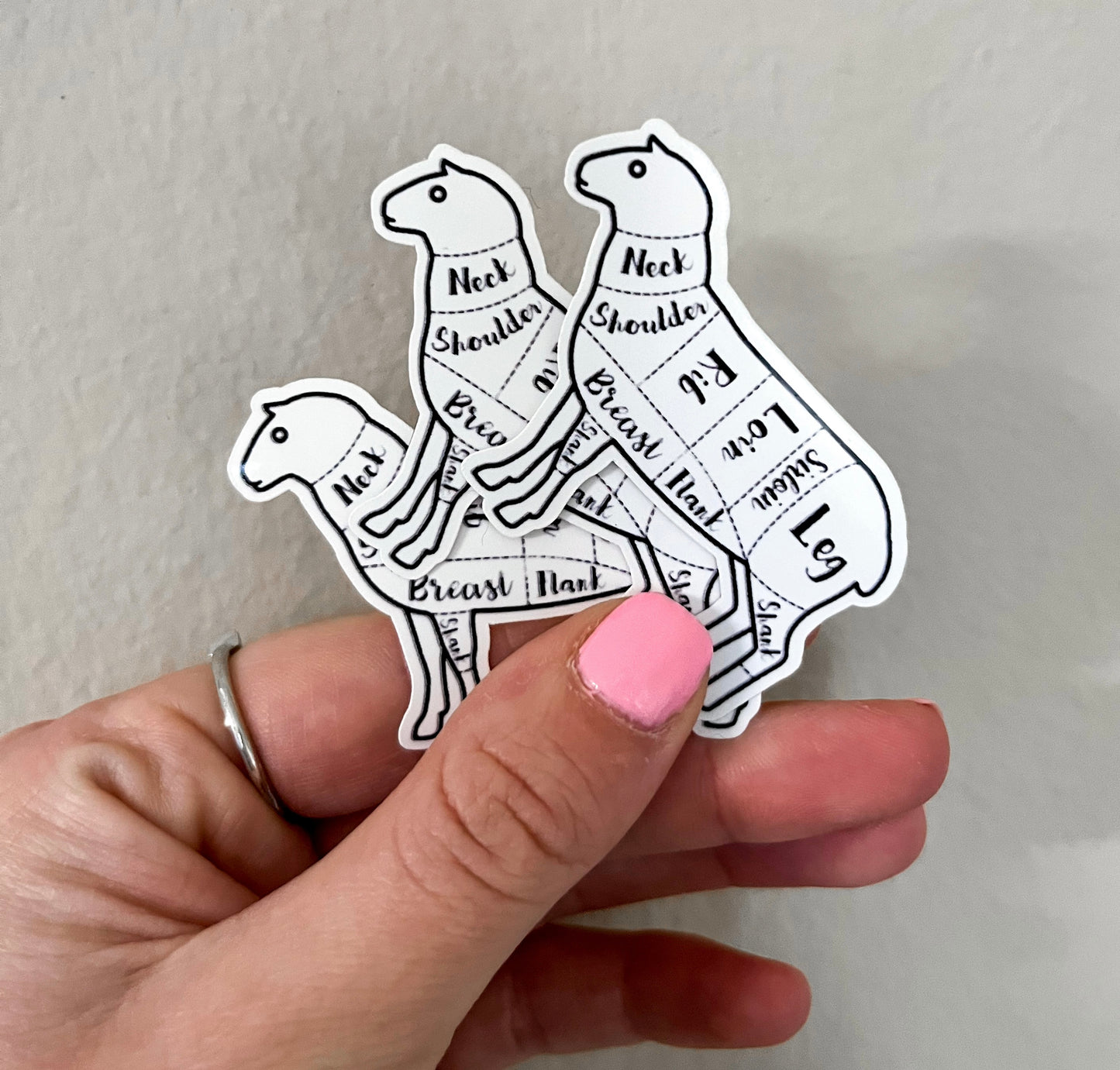 Sheep Parts Sticker